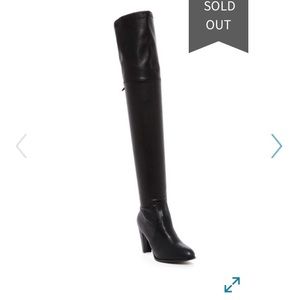 Catherine malandrino Greene OTK boot